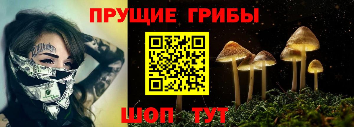 купить наркоту  Вход с VPN  Печора  Галлюциногенные грибы Magic Shrooms 