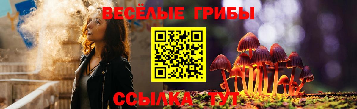 Галлюциногенные грибы Cubensis Печора